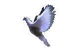 dover.gif (35524 bytes)